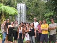 Bestandsnaam:
20060731_4326.jpg
Titel:
Groepsfoto
Plaats:
Millaa Millaa Falls
Beschrijving:
Millaa Millaa Falls - Groepsfoto