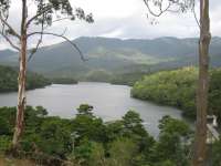 Bestandsnaam:
20060808_5018.jpg
Titel:
Lake Morris Dam
Plaats:
Cairns
Beschrijving:
Cairns - Lake Morris Dam