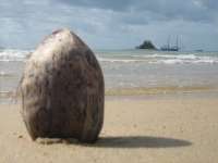 Bestandsnaam:
20060811_5562.jpg
Titel:
Coco on the beach
Plaats:
Dunk Island
Beschrijving:
Dunk Island - Coco on the beach