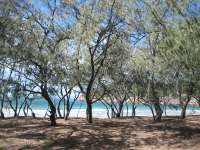 Bestandsnaam:
20060813_5649.jpg
Titel:
Florence Bay
Plaats:
Magnetic Island
Beschrijving:
Magnetic Island - Florence Bay