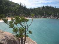 Bestandsnaam:
20060813_5693.jpg
Titel:
Arthurs Bay
Plaats:
Magnetic Island
Beschrijving:
Magnetic Island - Arthurs Bay